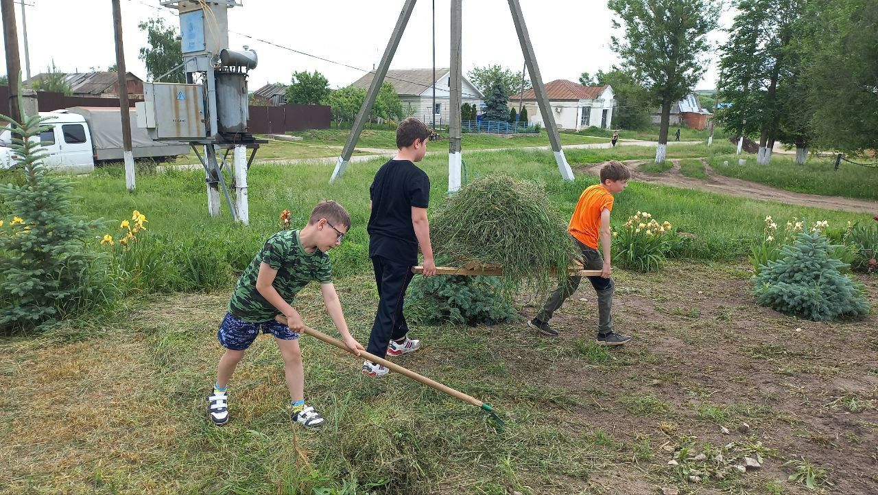 Что такое отработка. Летняя Трудовая практика. Летняя практика в школе. Трудовое лето. Летняя Трудовая практика в школе.